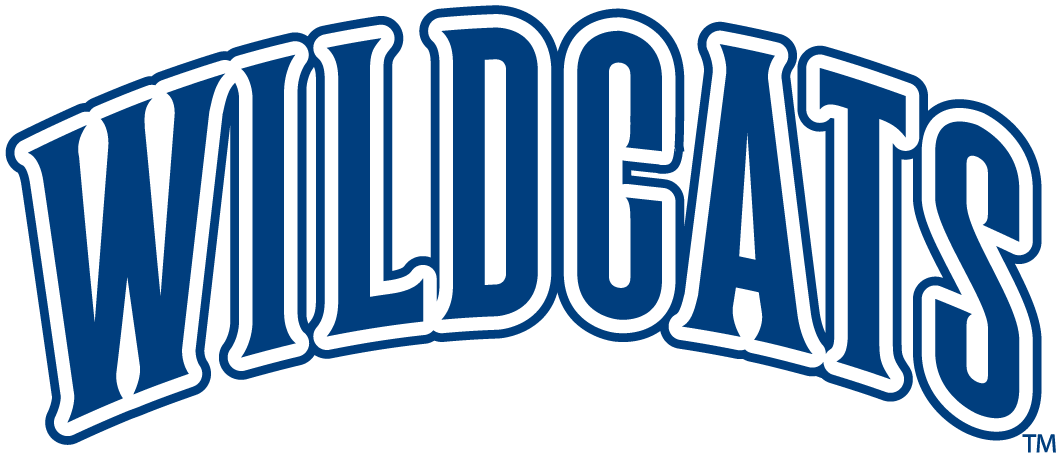 Villanova Wildcats 1996-Pres Wordmark Logo t shirts iron on transfers